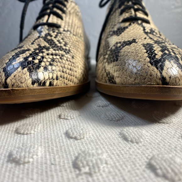 COLE HAAN Modern Classic Oxford - Python Printed Leather - Picture 4 of 16